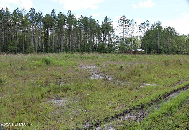 LOT64 County Road 108th Rd, Hilliard, FL 32046 - photo 13