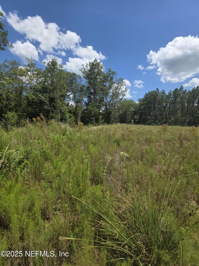 LOT64 County Road 108th Rd, Hilliard, FL 32046 - photo 11
