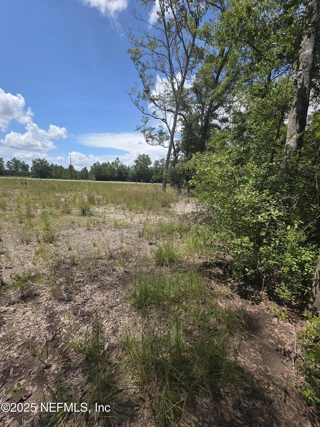 LOT64 County Road 108th Rd, Hilliard, FL 32046 - photo 2