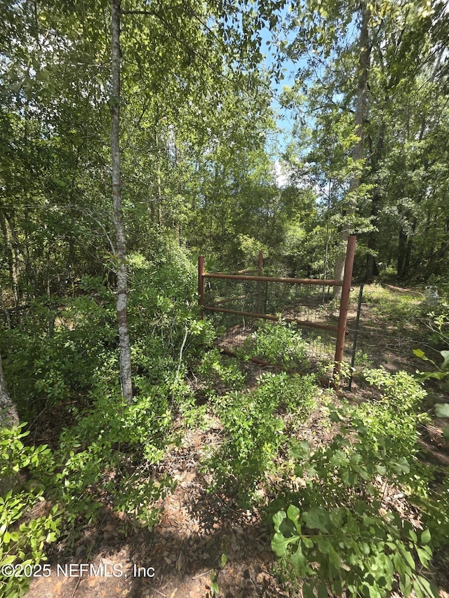 LOT64 County Road 108th Rd, Hilliard, FL 32046 - photo 3