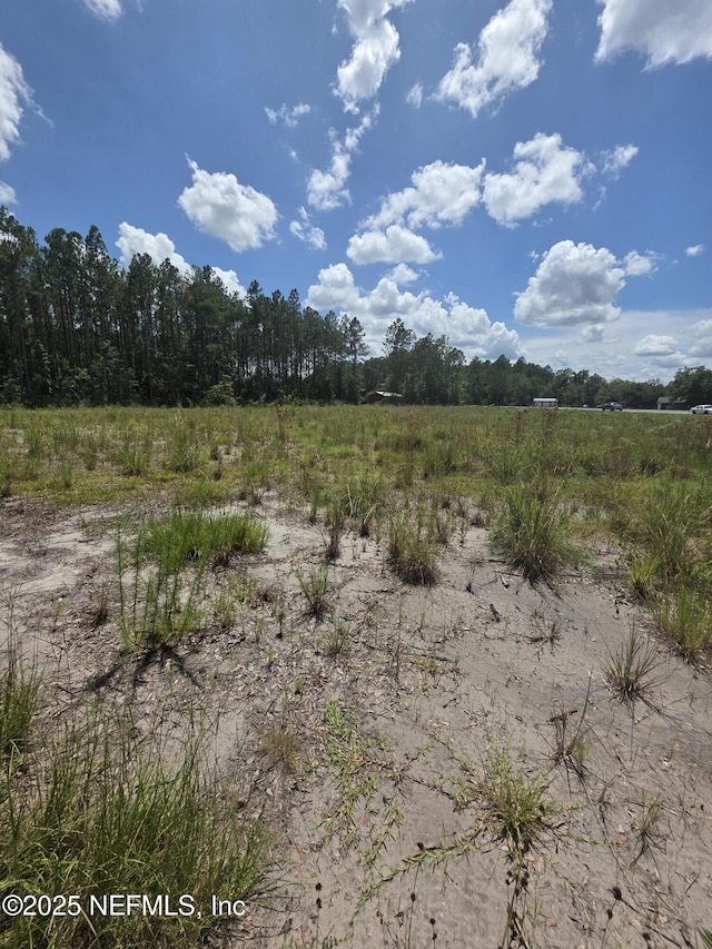 LOT64 County Road 108th Rd, Hilliard, FL 32046 - photo 5