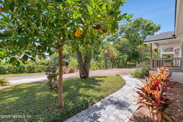 412 Escambia St, Fernandina Beach, FL 32034 - photo 9