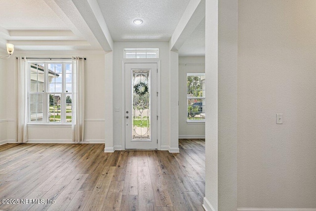 1103 Orchard Oriole Pl, Middleburg, FL 32068 - entryway with a textured ceiling, hardwood / wood-style flooring, and healthy amount of natural light