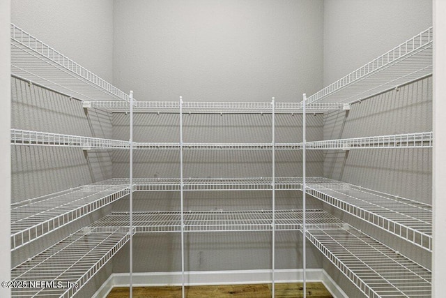 1103 Orchard Oriole Pl, Middleburg, FL 32068 - view of storage area