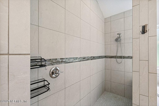 1103 Orchard Oriole Pl, Middleburg, FL 32068 - bathroom featuring a tile shower