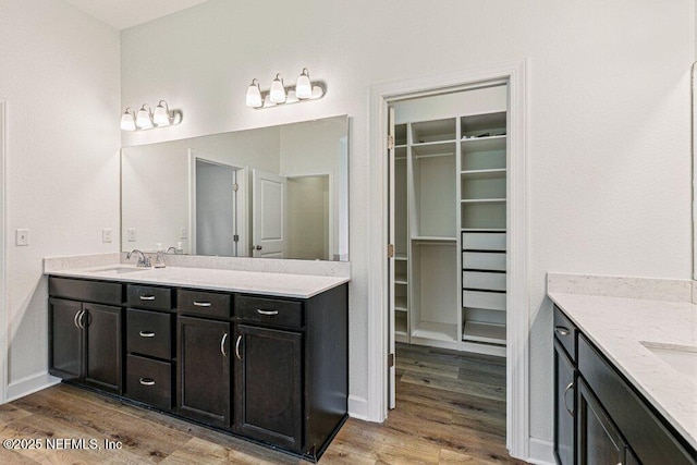 1103 Orchard Oriole Pl, Middleburg, FL 32068 - full bathroom featuring vanity, wood finished floors, and a walk in closet