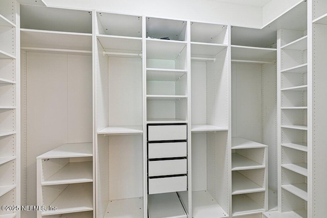 1103 Orchard Oriole Pl, Middleburg, FL 32068 - view of walk in closet