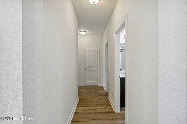 1103 Orchard Oriole Pl, Middleburg, FL 32068 - corridor with wood finished floors, a textured wall, and a textured ceiling