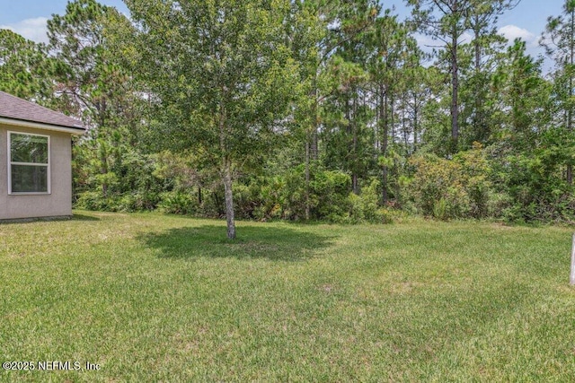 1103 Orchard Oriole Pl, Middleburg, FL 32068 - view of grassy yard