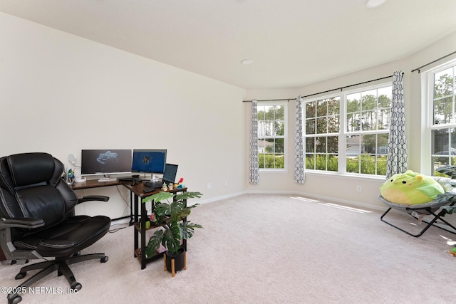 4551 Farmhouse Gate Trl, Jacksonville, FL 32226 - photo 4