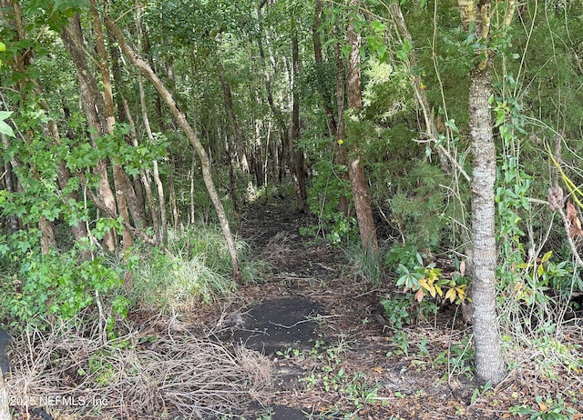 51321 Bloomington Way, Callahan, FL 32011 - view of local wilderness