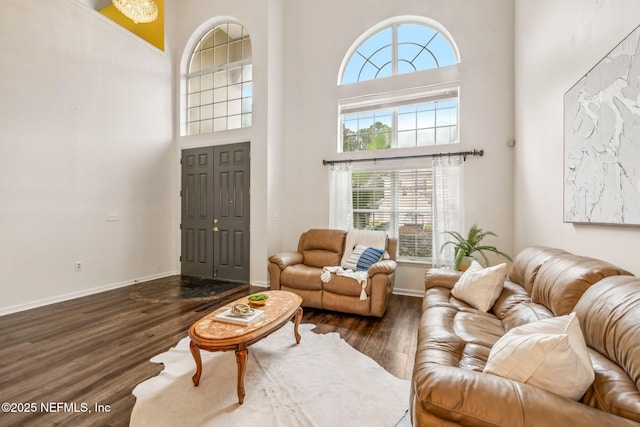 1020 Candlebark Dr, Jacksonville, FL 32225 - living area with plenty of natural light, wood finished floors, and a high ceiling