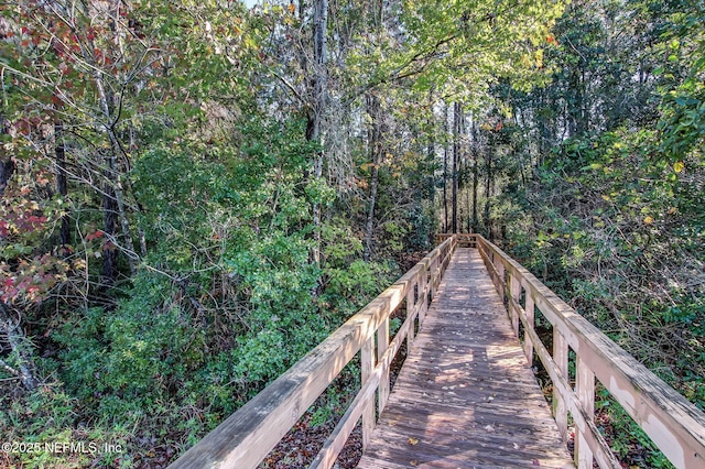 1020 Candlebark Dr, Jacksonville, FL 32225 - view of home's community