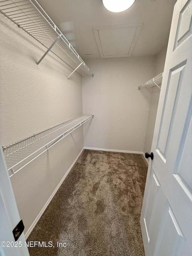 13810 N Sutton Park Dr Unit 1220, Jacksonville, FL 32224 - photo 4