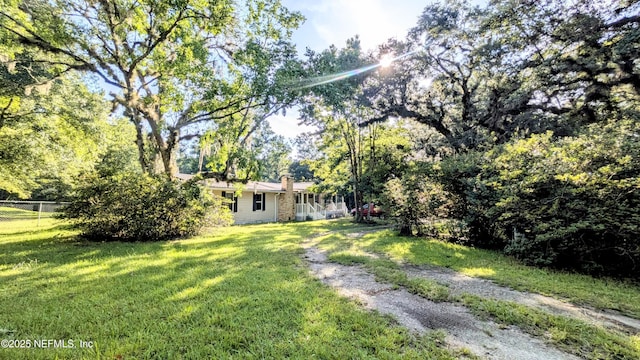 3822 County Road 220, Middleburg, FL 32068 - view of yard