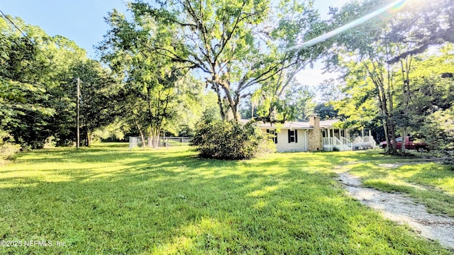 3822 County Road 220, Middleburg, FL 32068 - view of green lawn