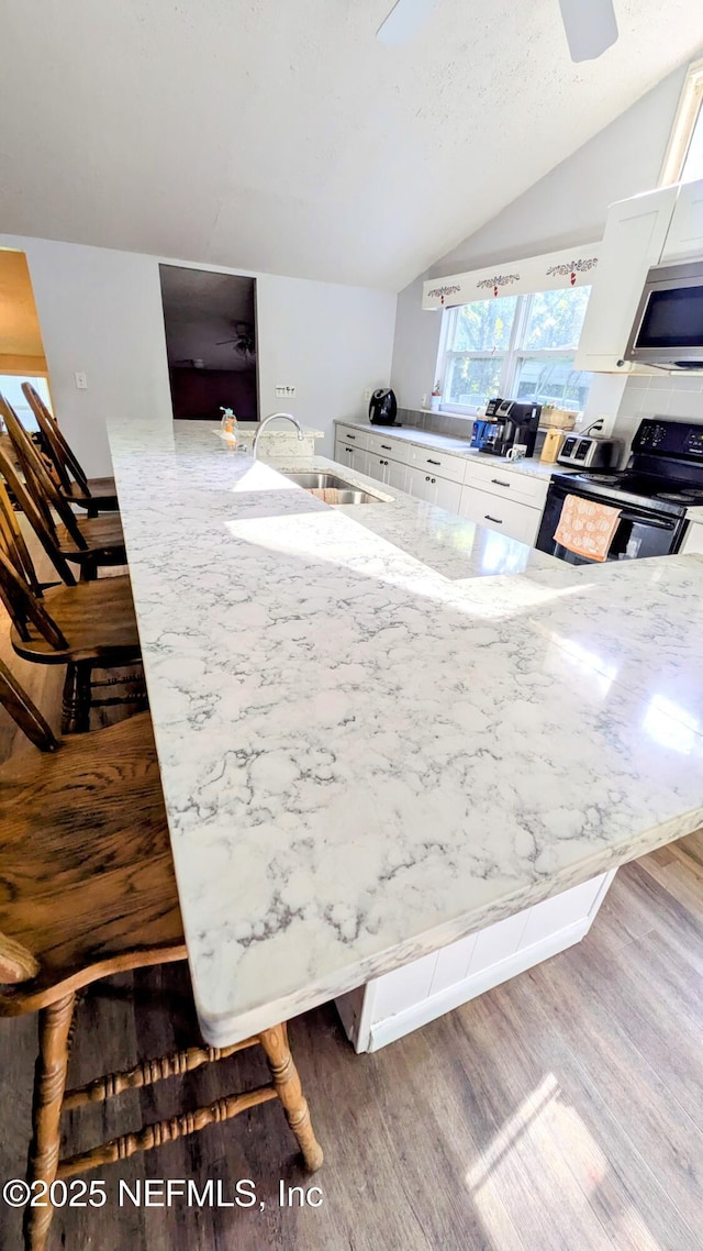 3822 County Road 220, Middleburg, FL 32068 - kitchen featuring wood finished floors, black / electric stove, stainless steel microwave, white cabinets, and vaulted ceiling