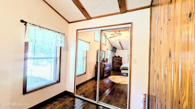 3822 County Road 220, Middleburg, FL 32068 - doorway with vaulted ceiling, dark wood-style flooring, a textured ceiling, a ceiling fan, and crown molding