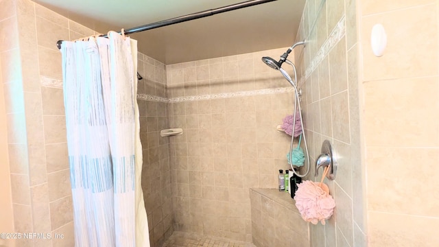 3822 County Road 220, Middleburg, FL 32068 - full bath with a tile shower