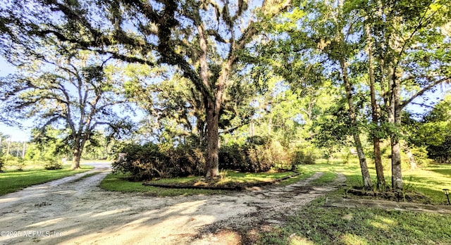 3822 County Road 220, Middleburg, FL 32068 - view of dirt / gravel road