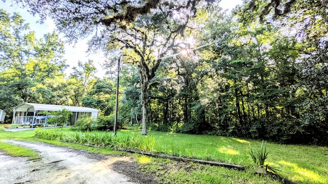 3822 County Road 220, Middleburg, FL 32068 - view of green lawn featuring a detached carport, a view of trees, and driveway