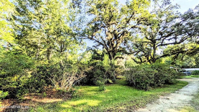 3822 County Road 220, Middleburg, FL 32068 - view of yard