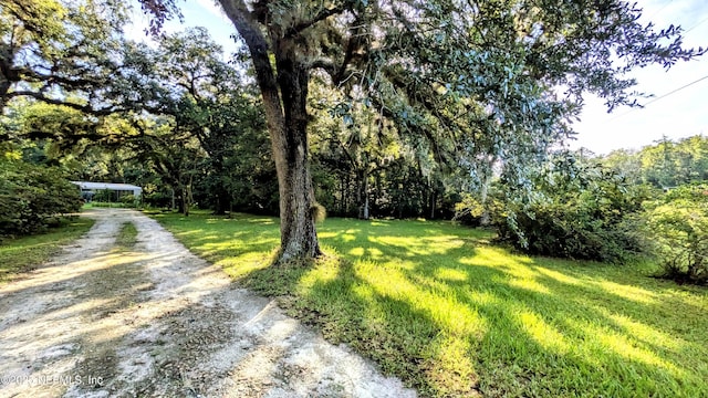 3822 County Road 220, Middleburg, FL 32068 - view of green lawn featuring driveway and a view of trees