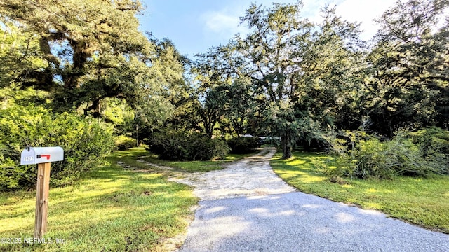 3822 County Road 220, Middleburg, FL 32068 - view of road