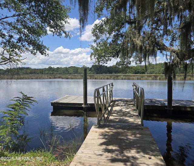 6669 Restlawn Dr, Jacksonville, FL 32208 - photo 21