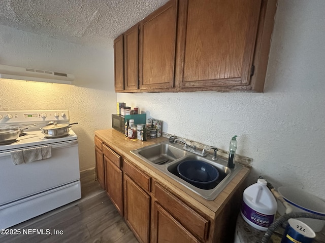 1339 W 21st St, Jacksonville, FL 32209 - photo 7