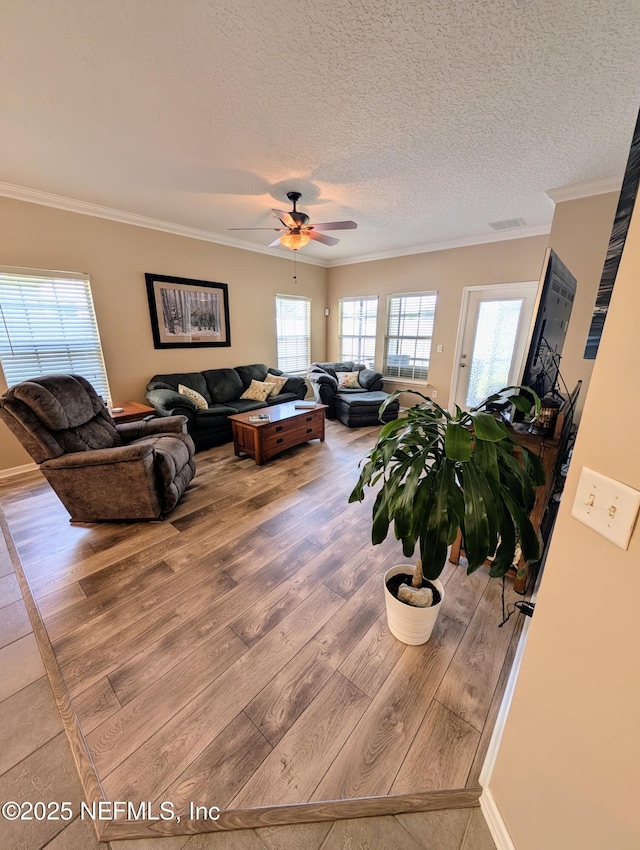 6206 Pendragon Pl, Jacksonville, FL 32258 - photo 11