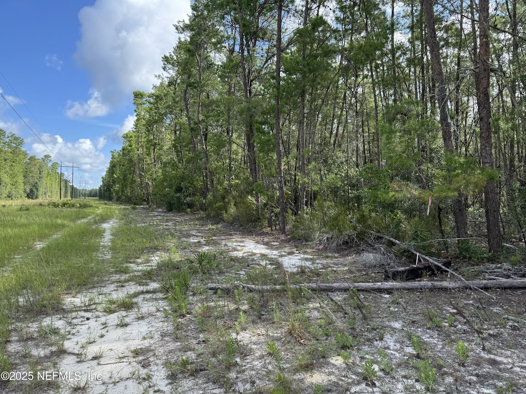 0 Hankley Lake Trl, Hawthorne, FL 32640 - photo 1