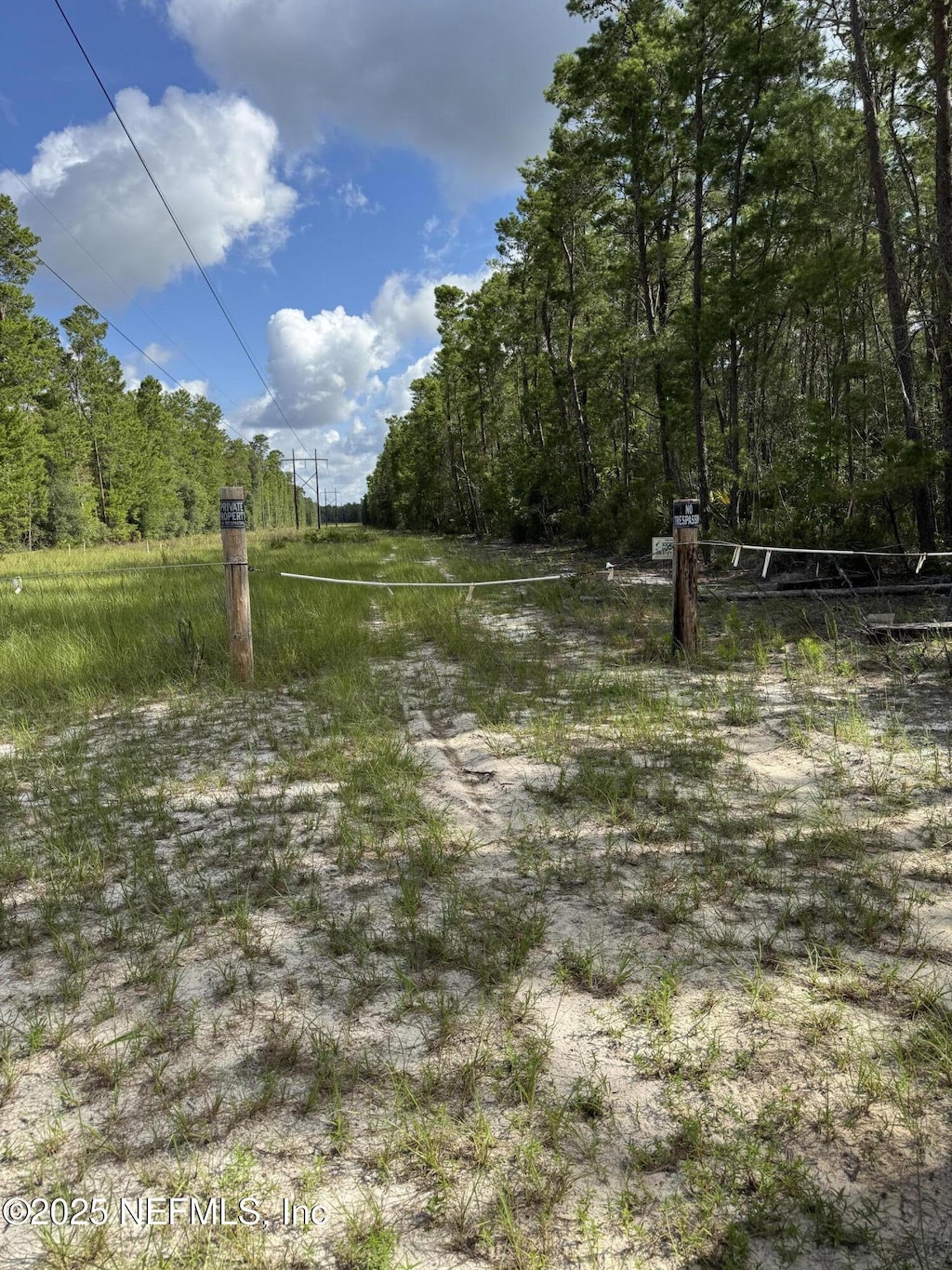 0 Hankley Lake Trl, Hawthorne, FL 32640 - photo 3