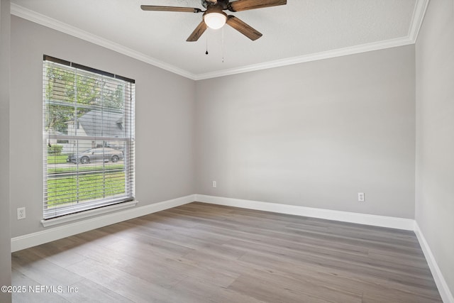 5288 Oxford Crest Dr, Jacksonville, FL 32258 - photo 24