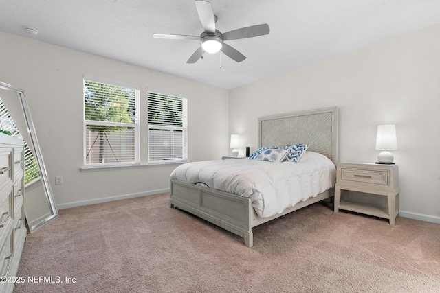 415 Red Dahlia Ln, Jacksonville, FL 32218 - photo 15