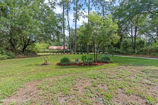 5764 Hurdia Rd, Jacksonville, FL 32244 - photo 49