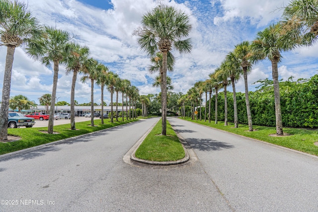 335 Sunrise Cir, Neptune Beach, FL 32266 - view of asphalt road featuring curbs