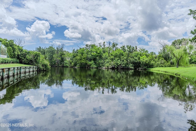 335 Sunrise Cir, Neptune Beach, FL 32266 - water view
