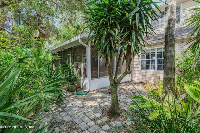 335 Sunrise Cir, Neptune Beach, FL 32266 - view of side of home featuring a patio, a sunroom, and a shingled roof