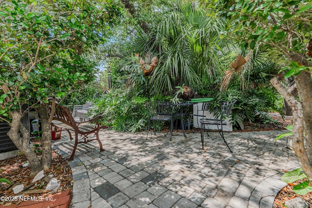 335 Sunrise Cir, Neptune Beach, FL 32266 - view of patio / terrace