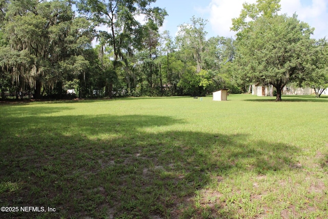 6141 Old Middleburg Rd S, Jacksonville, FL 32222 - photo 6