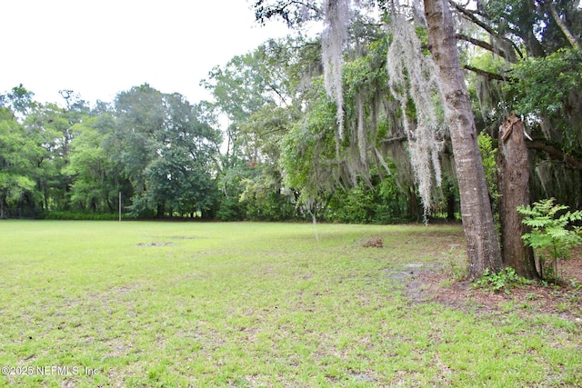 6141 Old Middleburg Rd S, Jacksonville, FL 32222 - photo 7