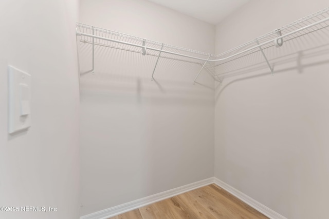 343 Tinsley Rd, Florahome, FL 32140 - spacious closet featuring light wood finished floors