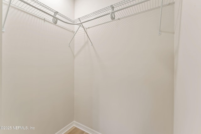 343 Tinsley Rd, Florahome, FL 32140 - spacious closet with wood finished floors