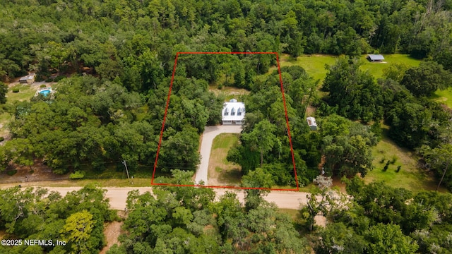 343 Tinsley Rd, Florahome, FL 32140 - aerial view of property and surrounding area with a heavily wooded area and property parcel outlined