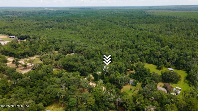 343 Tinsley Rd, Florahome, FL 32140 - aerial view of a forest