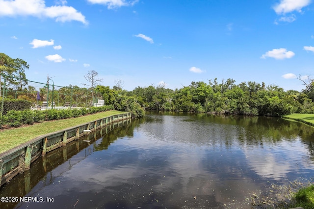 1430 Spindrift Cir E, Neptune Beach, FL 32266 - water view