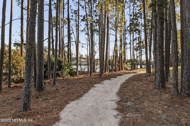 1859 W Perimeter Park Rd, Fernandina Beach, FL 32034 - photo 43