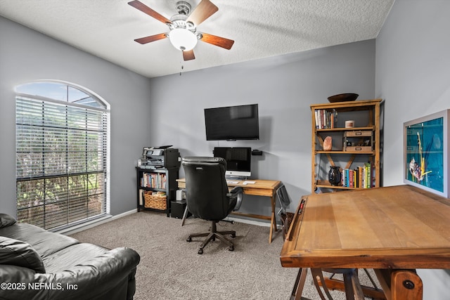 2919 Sans Pareil St, Jacksonville, FL 32246 - photo 5
