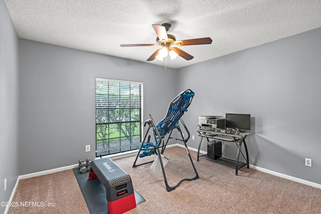 2919 Sans Pareil St, Jacksonville, FL 32246 - photo 26